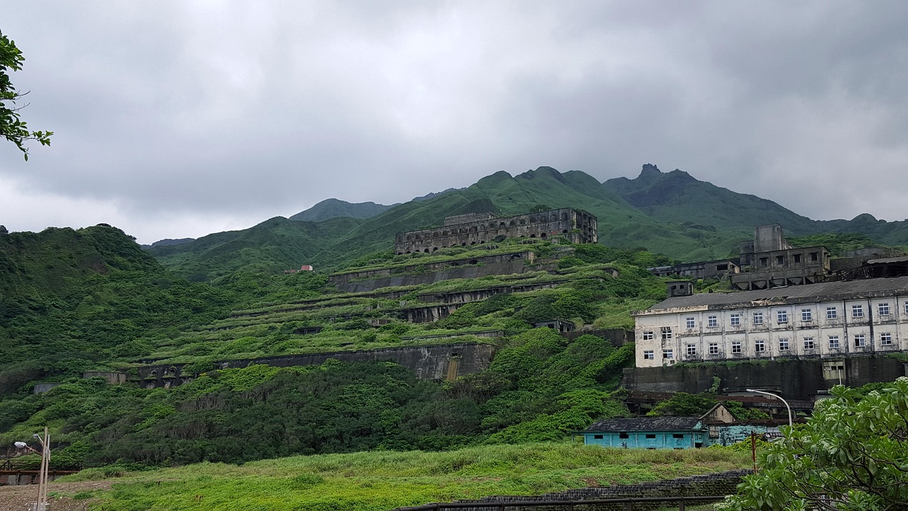 산양산삼의 효능