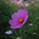 팔거상에 대한 주요 정보 살펴보기